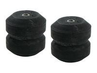 2011-2013 Ford Motorhome F59 (leaf spring front suspension) - "Standard Duty" SES Suspension Kit by Timbren - (Rear)