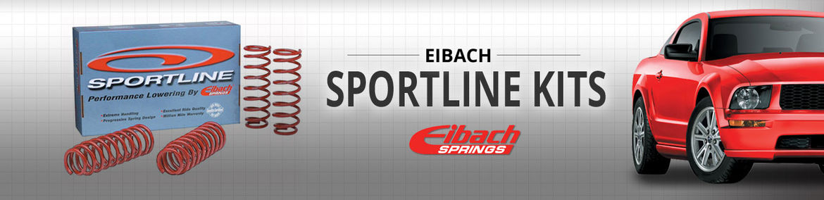 
        Eibach Sportline Springs
    